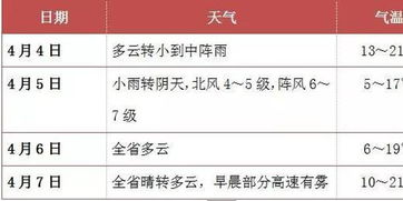 清明高速免费吗?别急着加满油、订酒店!这份避坑指南比导航还准,看完秒懂政策细节+3个真实踩雷故事 清明高速免费吗?别急着加满油、订酒店!这份避坑指南比导航还准,看完秒懂政策细节+3个真实踩雷故事