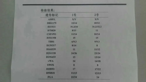 亲子鉴定多少钱一次？一份透明、安心、不踩坑的费用指南（2024最新版）