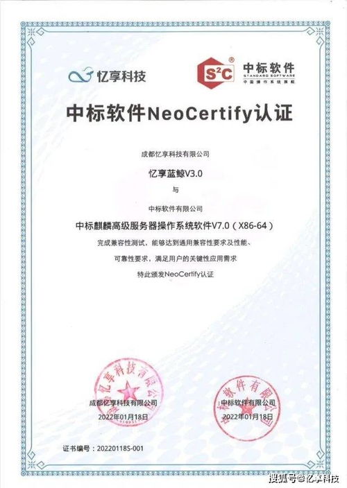 软件公司资质不是一张纸,而是一把钥匙—读懂它,打开客户信任、项目投标与长期发展的三重大门 软件公司资质不是一张纸,而是一把钥匙—读懂它,打开客户信任、项目投标与长期发展的三重大门