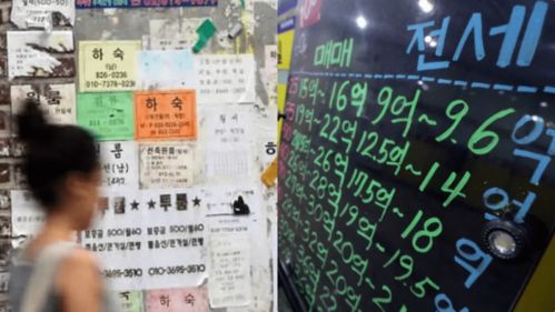 明光租房避坑指南,一个本地自媒体人亲测半年,揭露那些中介不会告诉你的12个真相 明光租房避坑指南,一个本地自媒体人亲测半年,揭露那些中介不会告诉你的12个真相