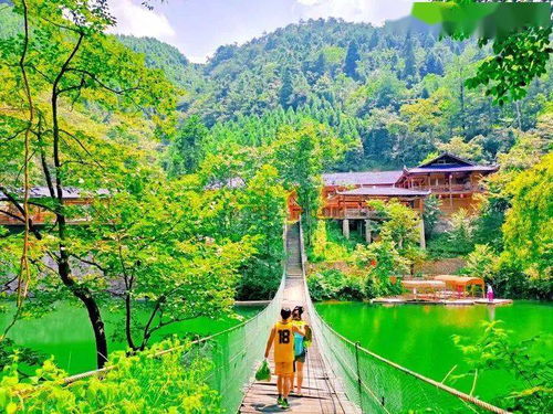 沅陵租房网,一座湘西小城的安居焦虑与数字破冰实验—当95后租客在辰州古城刷出第一套带独立卫浴的房源 沅陵租房网,一座湘西小城的安居焦虑与数字破冰实验—当95后租客在辰州古城刷出第一套带独立卫浴的房源