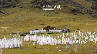 在云端牧场安个家,甘孜二手房,不是二手生活,而是第一份山河浪漫的入场券 在云端牧场安个家,甘孜二手房,不是二手生活,而是第一份山河浪漫的入场券