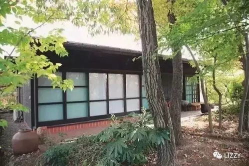 玉环租房不是‘将就’而是把东海边的小日子,租成你想要的样子 玉环租房不是‘将就’而是把东海边的小日子,租成你想要的样子