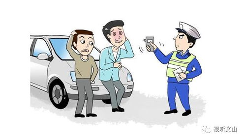 不救人司机被刑拘背后，不是冷漠的审判，而是责任边界的重新厘清