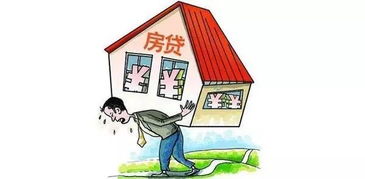 在肥西买二手房,不是捡漏而是选生活,一份温暖实用的购房避坑指南与价值地图 在肥西买二手房,不是捡漏而是选生活,一份温暖实用的购房避坑指南与价值地图