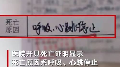 当快递单背后是心跳—从湖南快递员猝死事件看新就业形态劳动者的健康守护困局与破局之路