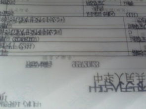 报关单填制规范,外贸新手的通关密码本—写对一张纸,省下三小时、躲过五次退单、避免两万元罚款 报关单填制规范,外贸新手的通关密码本—写对一张纸,省下三小时、躲过五次退单、避免两万元罚款