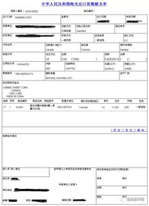 报关单填制规范,外贸新手的通关密码本—写对一张纸,省下三小时、躲过五次退单、避免两万元罚款 报关单填制规范,外贸新手的通关密码本—写对一张纸,省下三小时、躲过五次退单、避免两万元罚款