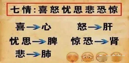 一根头发、一滴血,就能揭开血脉之谜?手把手带你读懂亲子鉴定的真相与温度 一根头发、一滴血,就能揭开血脉之谜?手把手带你读懂亲子鉴定的真相与温度