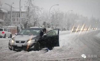 一条雪路,两小时瘫痪—哈绥高速车祸背后,藏着我们每个人开车时都忽略的冬季生存课 一条雪路,两小时瘫痪—哈绥高速车祸背后,藏着我们每个人开车时都忽略的冬季生存课