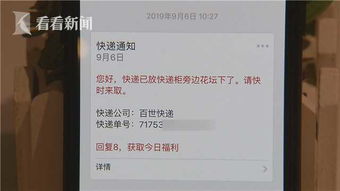 寄出的不只是包裹，还有信任—关于中国邮政投诉电话的全面指南，从拨通那一刻起，如何高效维权、理性沟通、真正解决问题
