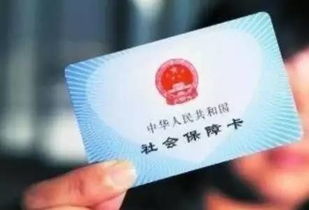 医保卡里的‘小金库’你查过余额吗?沈阳人必懂的医保卡余额查询指南(手把手教你看懂每一分救命钱) 医保卡里的‘小金库’你查过余额吗?沈阳人必懂的医保卡余额查询指南(手把手教你看懂每一分救命钱)