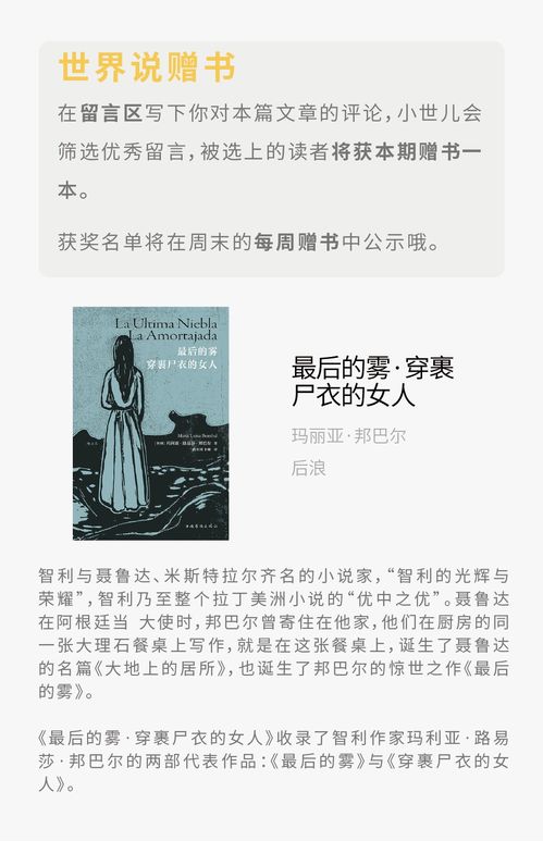 消失的公章与重生的窗口,苏州市国家税务局十年蝶变实录—一个自媒体人的深度观察手记 消失的公章与重生的窗口,苏州市国家税务局十年蝶变实录—一个自媒体人的深度观察手记