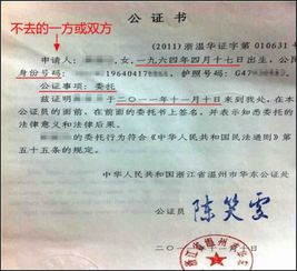 出生公证书,一张薄纸,为何能撬动留学、移民、落户的大门?为你讲清它是什么、为什么需要、怎么高效办好 出生公证书,一张薄纸,为何能撬动留学、移民、落户的大门?为你讲清它是什么、为什么需要、怎么高效办好