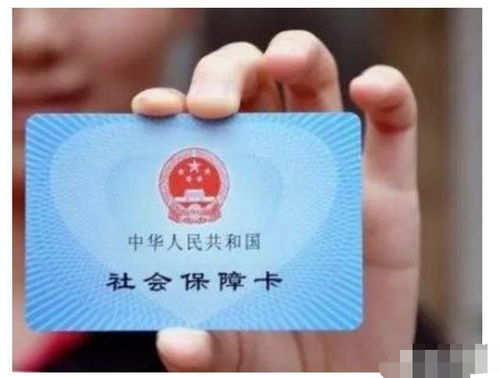 社保交着,但退休后真够花吗?普通人也能像买菜一样轻松配置自己的养老保险,不是老板的专利,也不是养老院的入场券! 社保交着,但退休后真够花吗?普通人也能像买菜一样轻松配置自己的养老保险,不是老板的专利,也不是养老院的入场券!