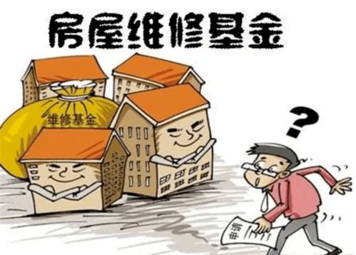 大修理基金，你家房子的医保账户，不是可有可无的储蓄，而是安心生活的底层保障