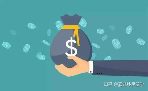 麦子资产立案侦查,普通投资者该如何冷静应对?一份写给焦虑中你的理性指南
