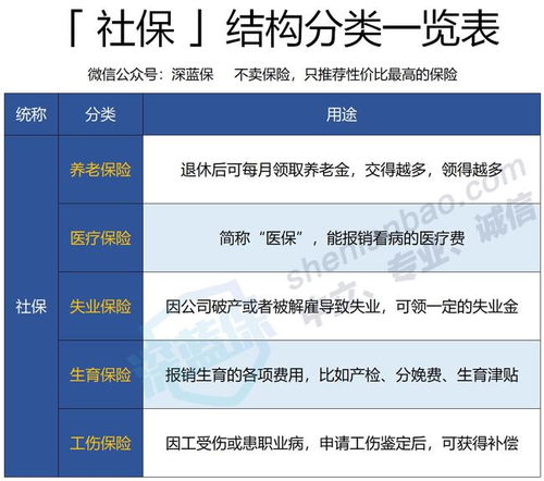 五险一金里的隐形年金,一图看懂事业单位养老保险缴费比例,让你的退休账本不再雾里看花